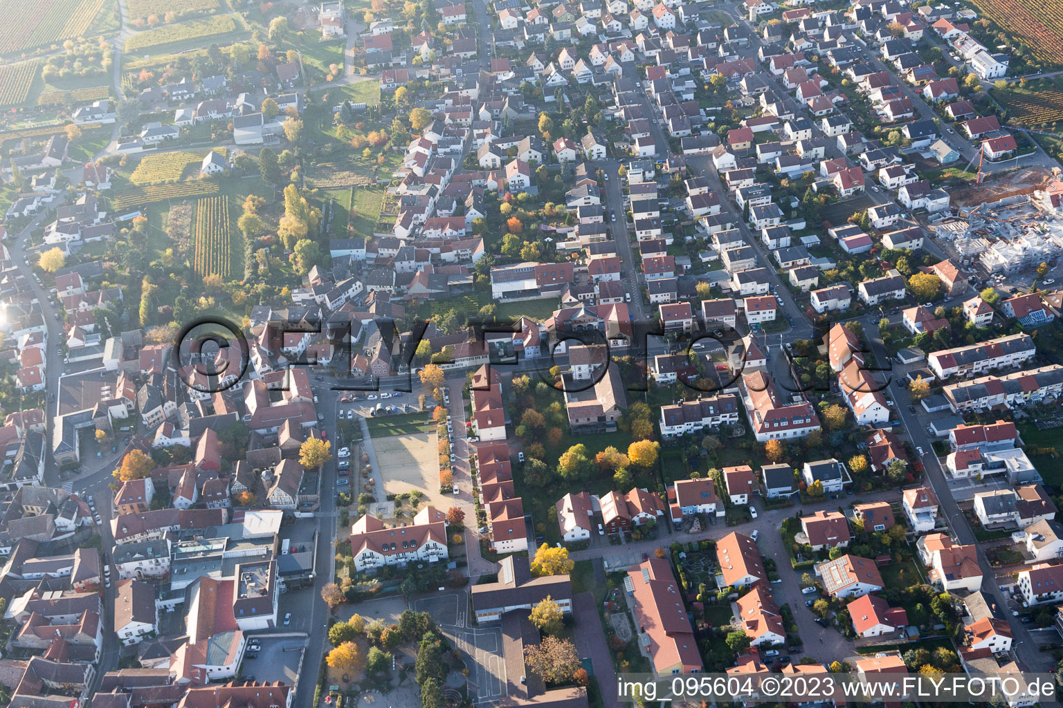 Ortsteil Diedesfeld in Neustadt an der Weinstraße im Bundesland Rheinland-Pfalz, Deutschland aus der Luft