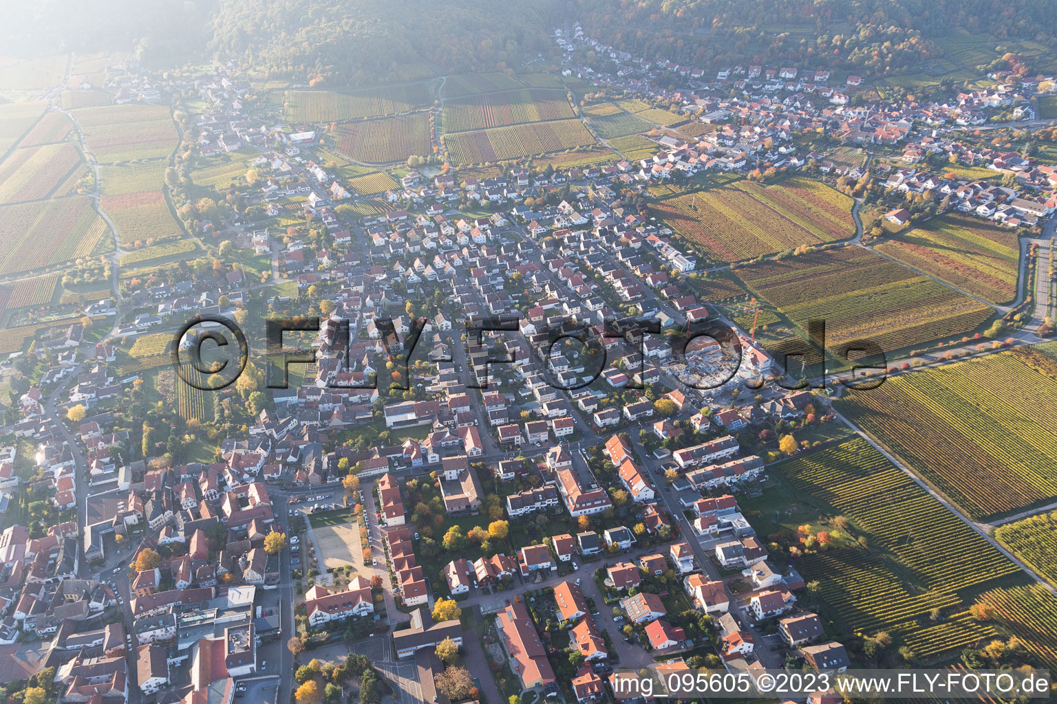 Ortsteil Diedesfeld in Neustadt an der Weinstraße im Bundesland Rheinland-Pfalz, Deutschland von oben gesehen