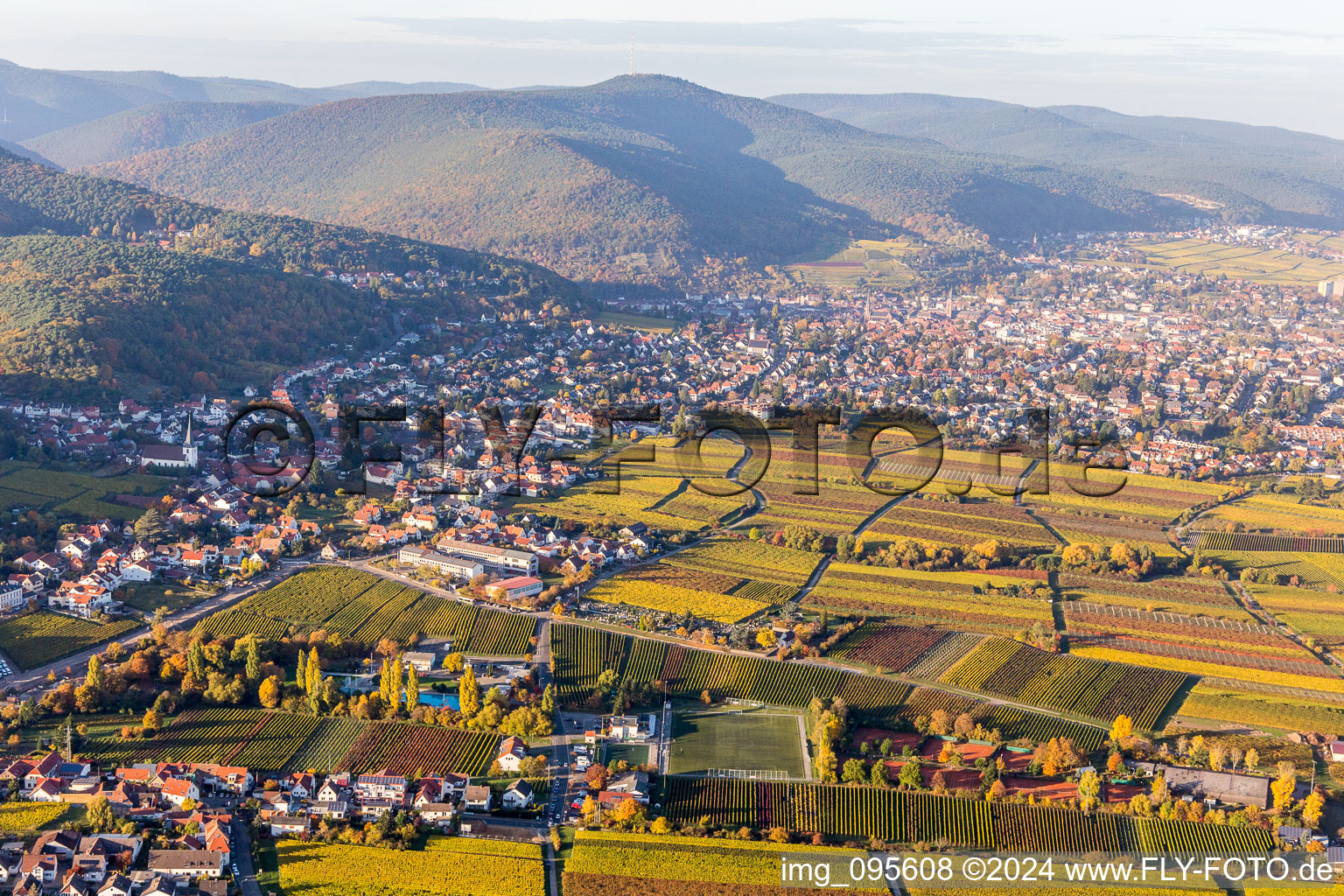 Dorf - Ansicht am Rande von Weinbergen im Ortsteil Hambach in Neustadt an der Weinstraße im Ortsteil Hambach an der Weinstraße im Bundesland Rheinland-Pfalz, Deutschland