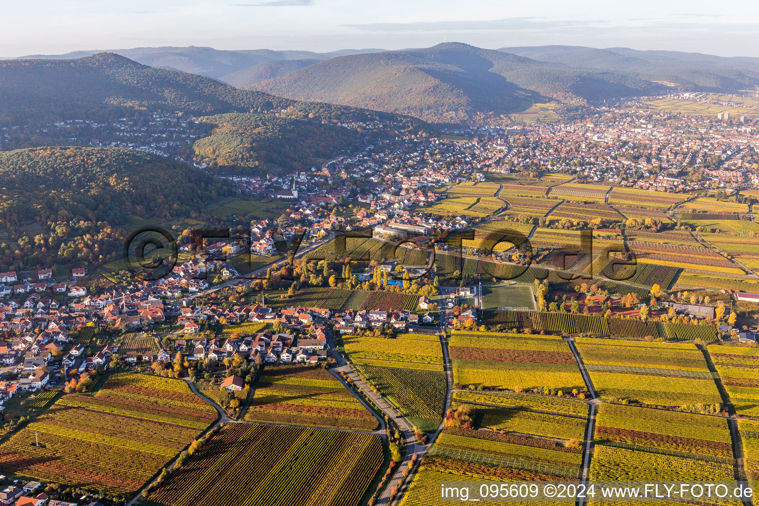 Luftbild von Dorf - Ansicht am Rande von Weinbergen im Ortsteil Hambach in Neustadt an der Weinstraße im Ortsteil Hambach an der Weinstraße im Bundesland Rheinland-Pfalz, Deutschland