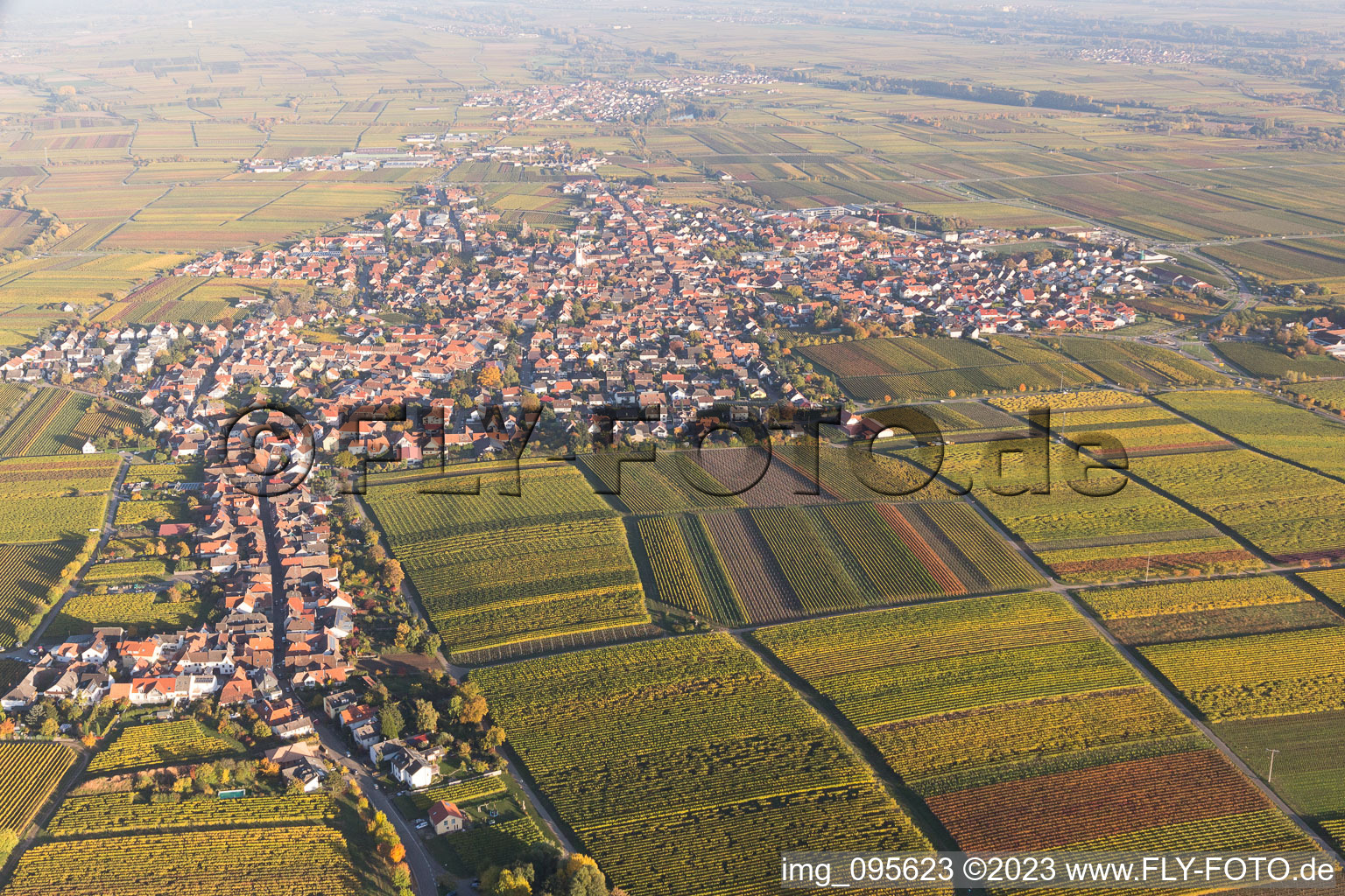 Maikammer im Bundesland Rheinland-Pfalz, Deutschland vom Flugzeug aus