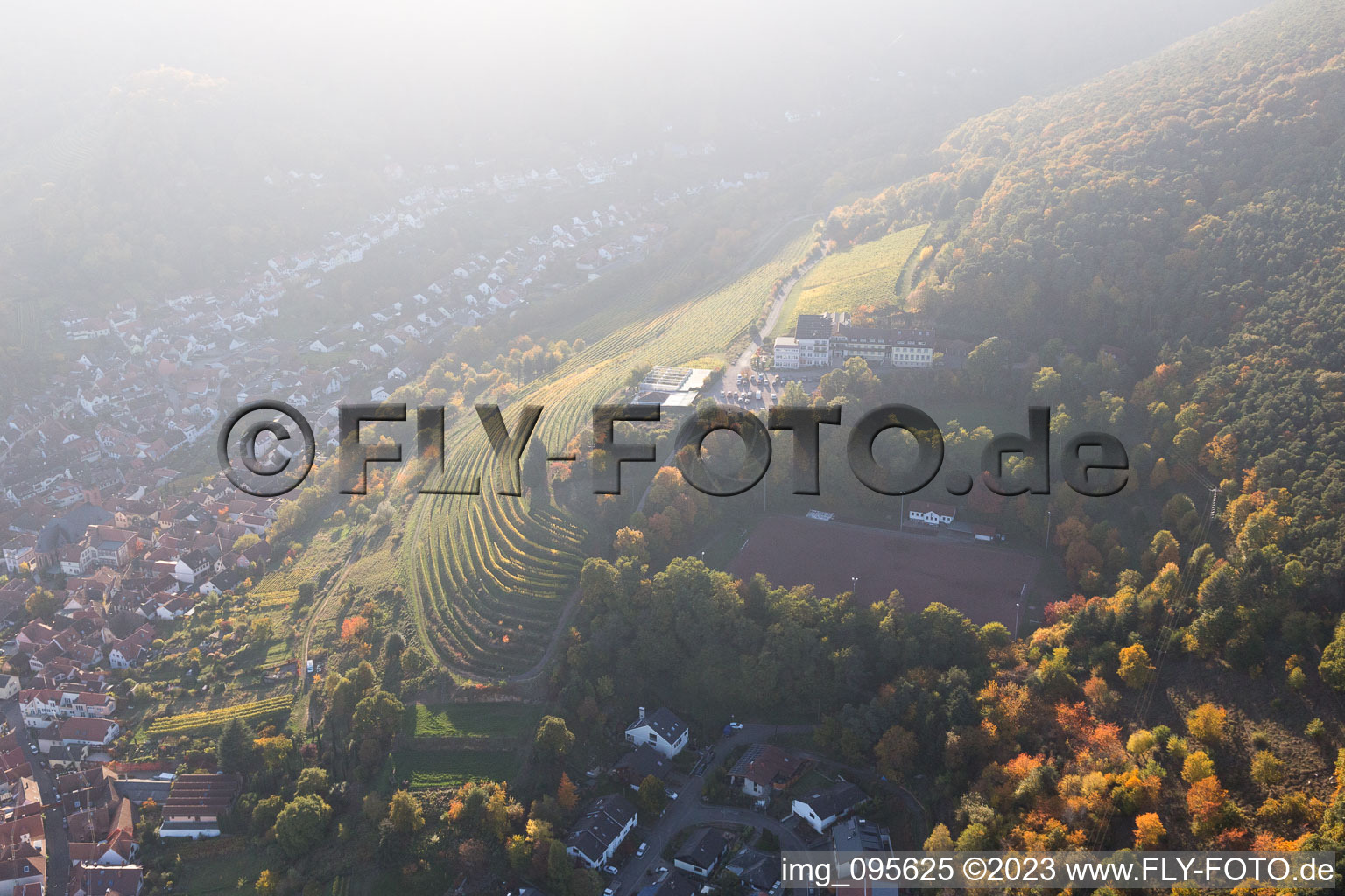 Schrägluftbild von Sankt Martin im Bundesland Rheinland-Pfalz, Deutschland