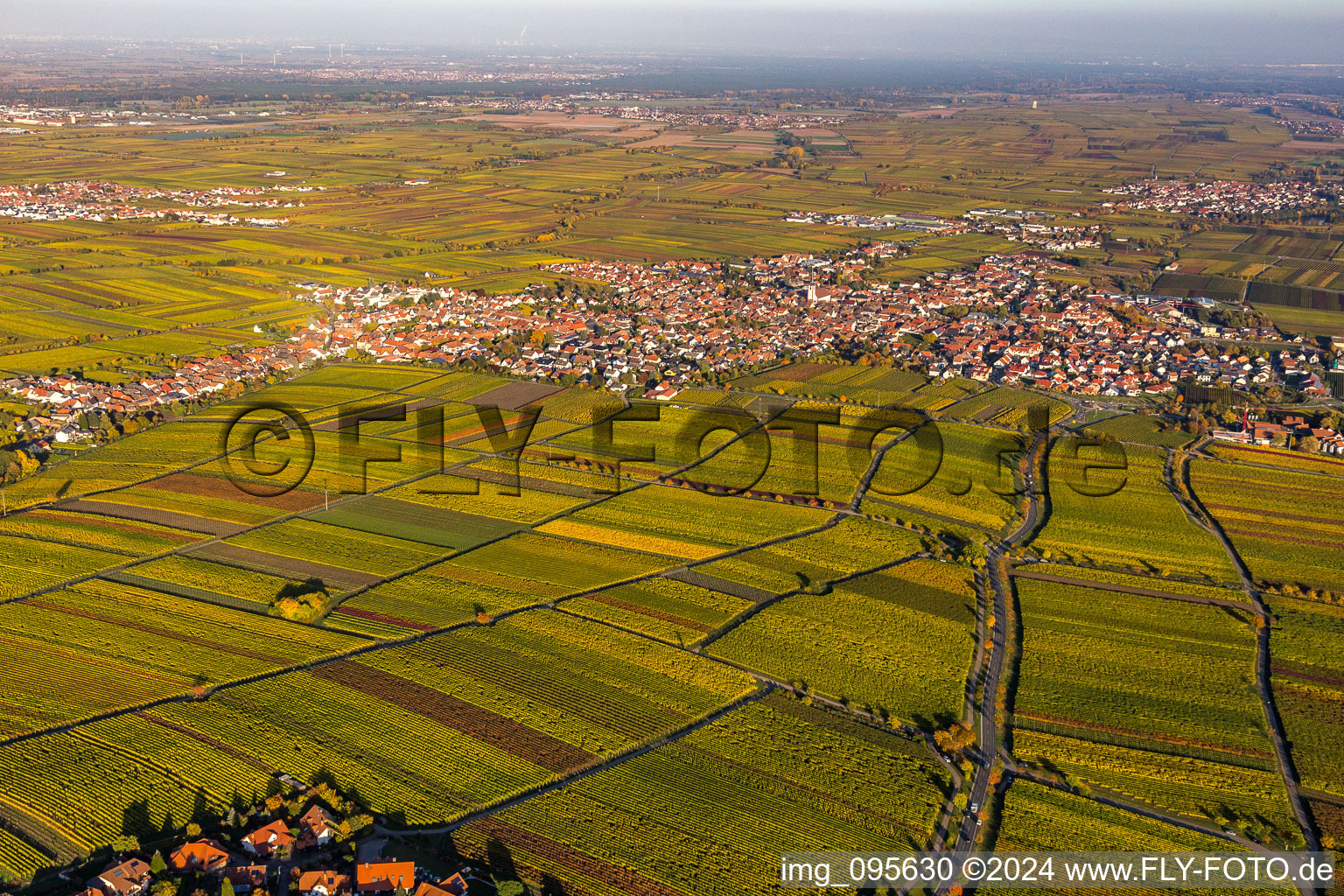 Maikammer im Bundesland Rheinland-Pfalz, Deutschland von oben