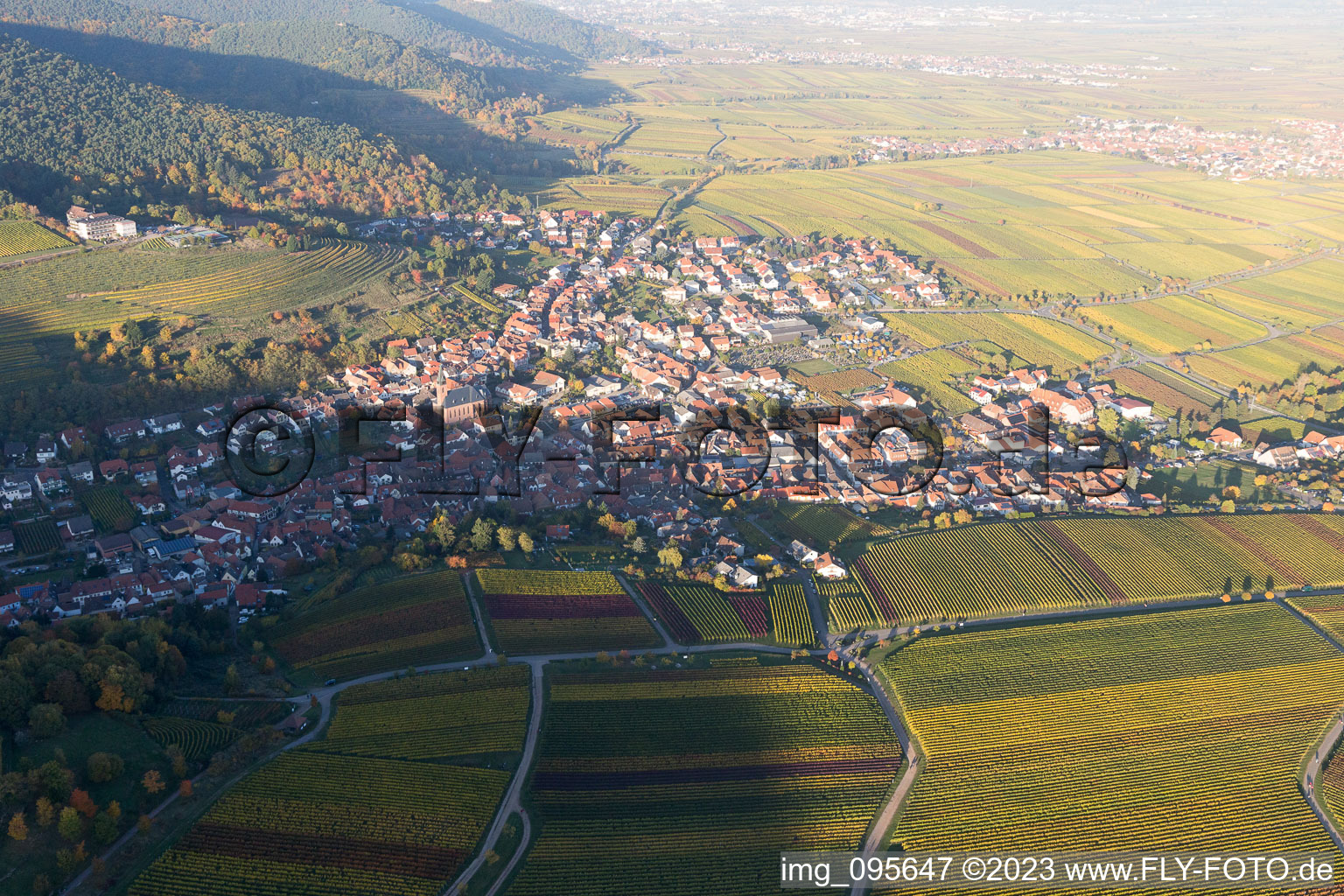 Sankt Martin im Bundesland Rheinland-Pfalz, Deutschland aus der Drohnenperspektive