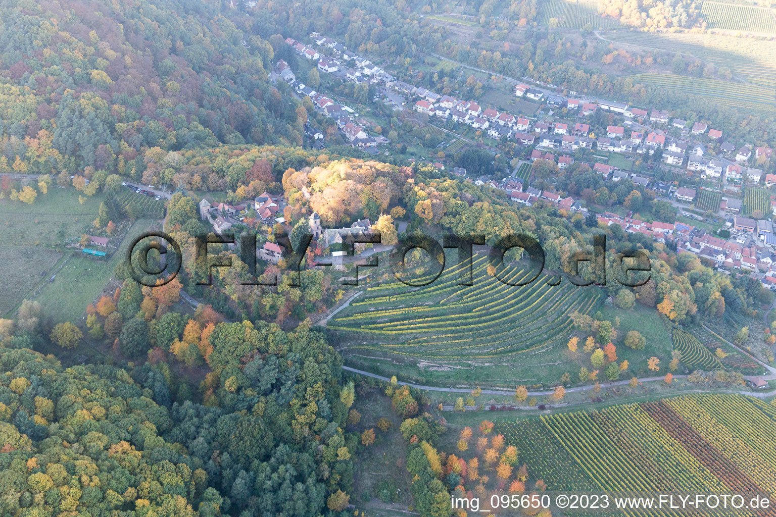Luftbild von Sankt Martin im Bundesland Rheinland-Pfalz, Deutschland
