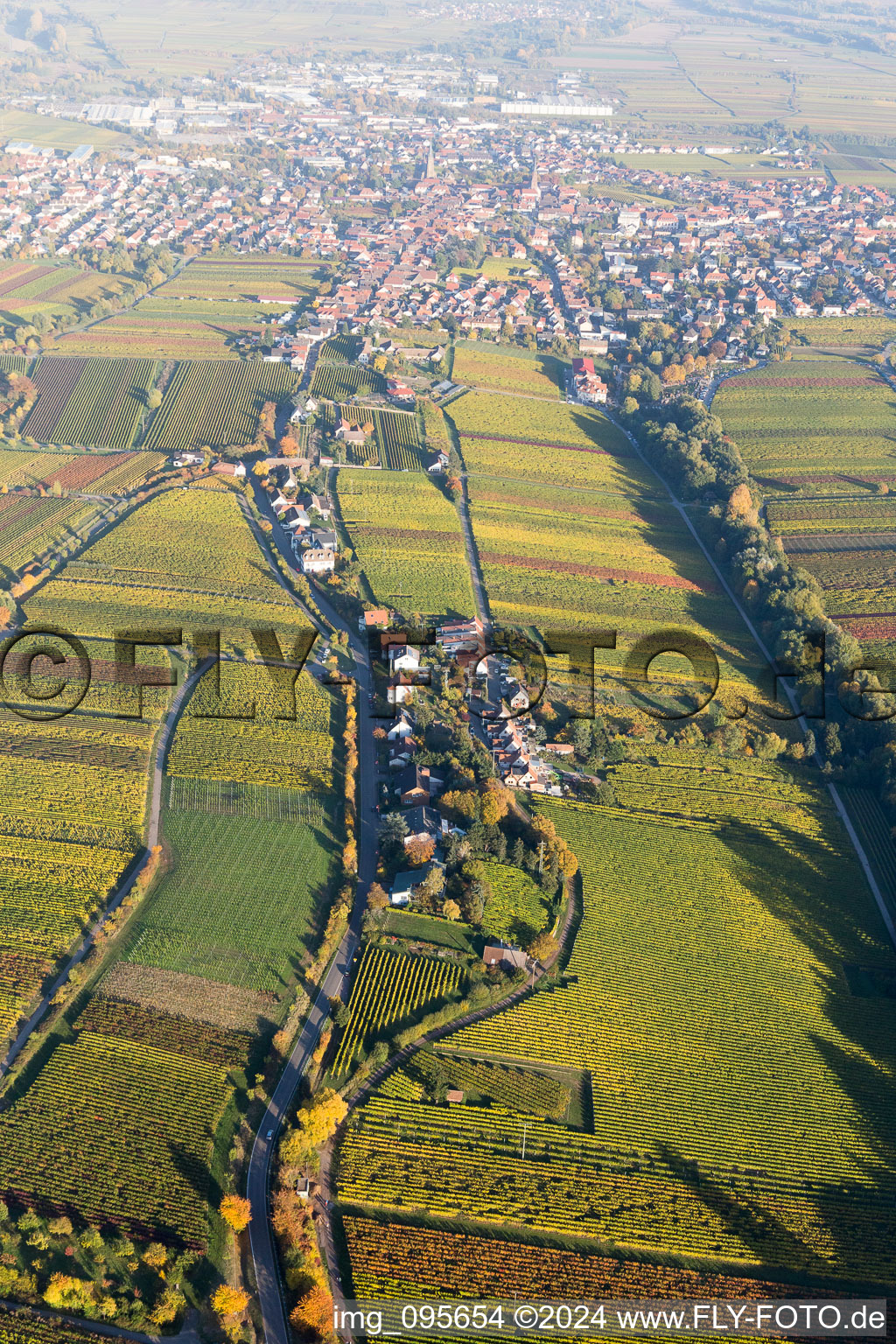 Felder einer Weinbergs- Landschaft der Winzer- Gebiete im Ortsteil Siedlung in Edenkoben im Bundesland Rheinland-Pfalz, Deutschland