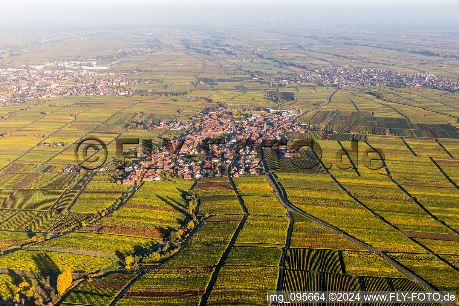 Dorf - Ansicht am Rande von Weinbergen in Herbstfärbung in Rhodt unter Rietburg im Bundesland Rheinland-Pfalz, Deutschland