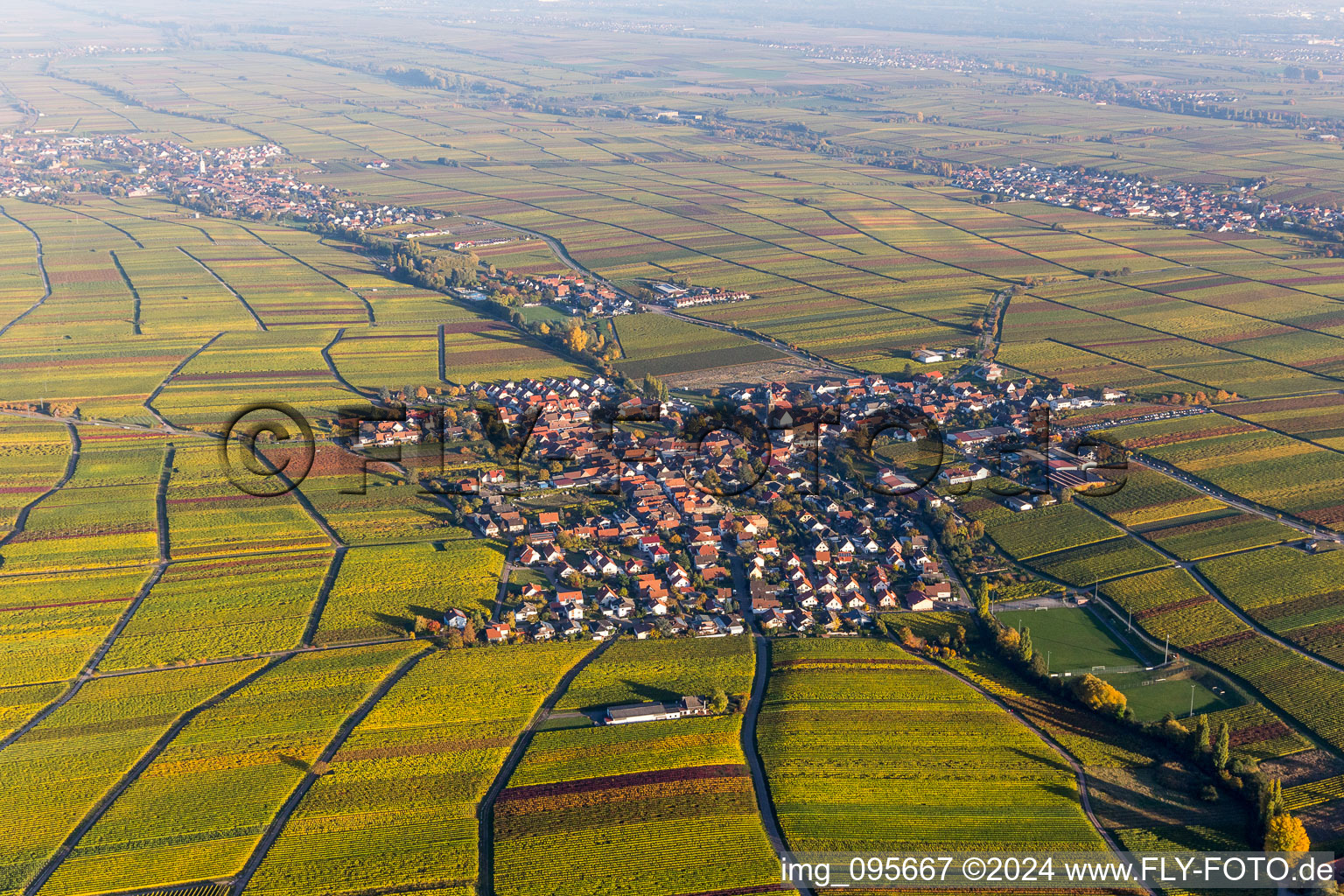 Luftbild von Dorf - Ansicht am Rande von herbstlich gefärbten Weinbergen in Hainfeld im Bundesland Rheinland-Pfalz, Deutschland