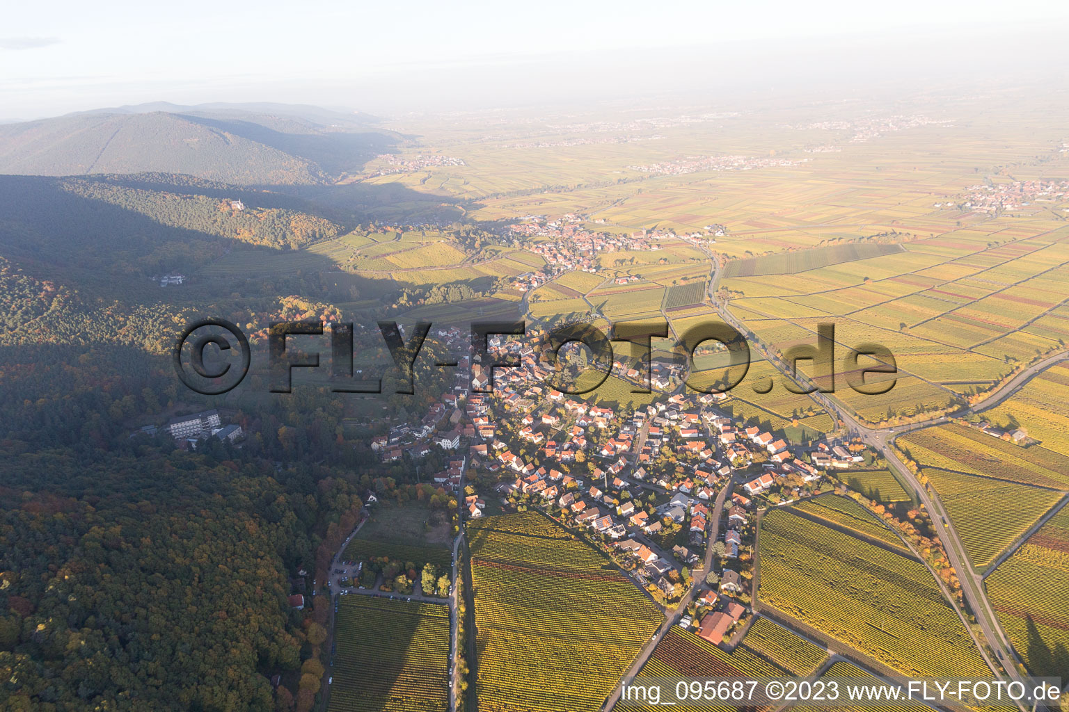 Gleisweiler im Bundesland Rheinland-Pfalz, Deutschland aus der Luft betrachtet