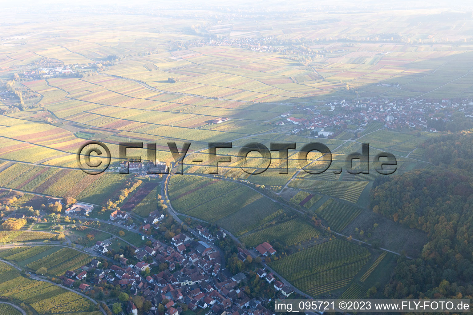 Drohnenbild von Leinsweiler im Bundesland Rheinland-Pfalz, Deutschland