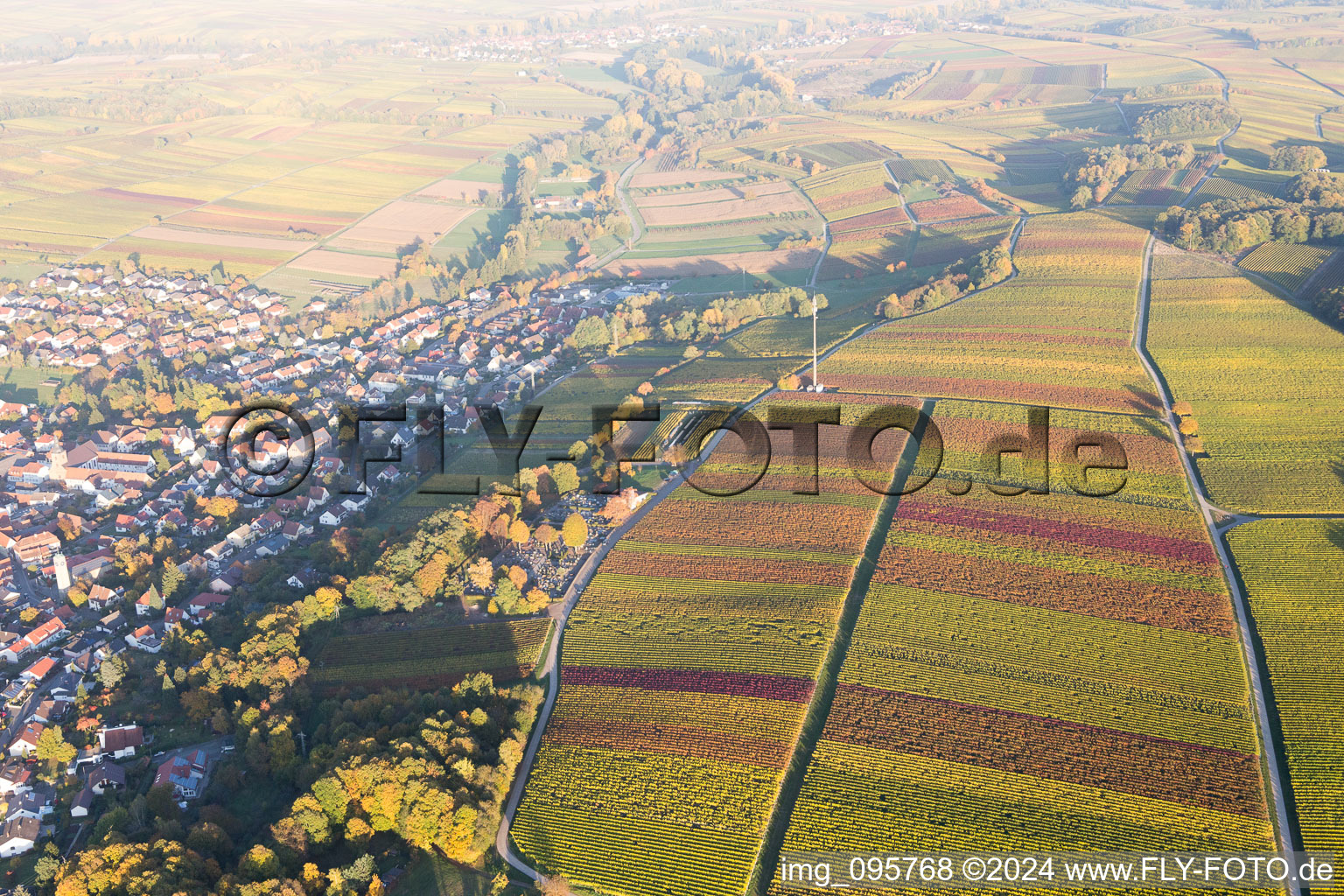 Klingenmünster im Bundesland Rheinland-Pfalz, Deutschland von einer Drohne aus