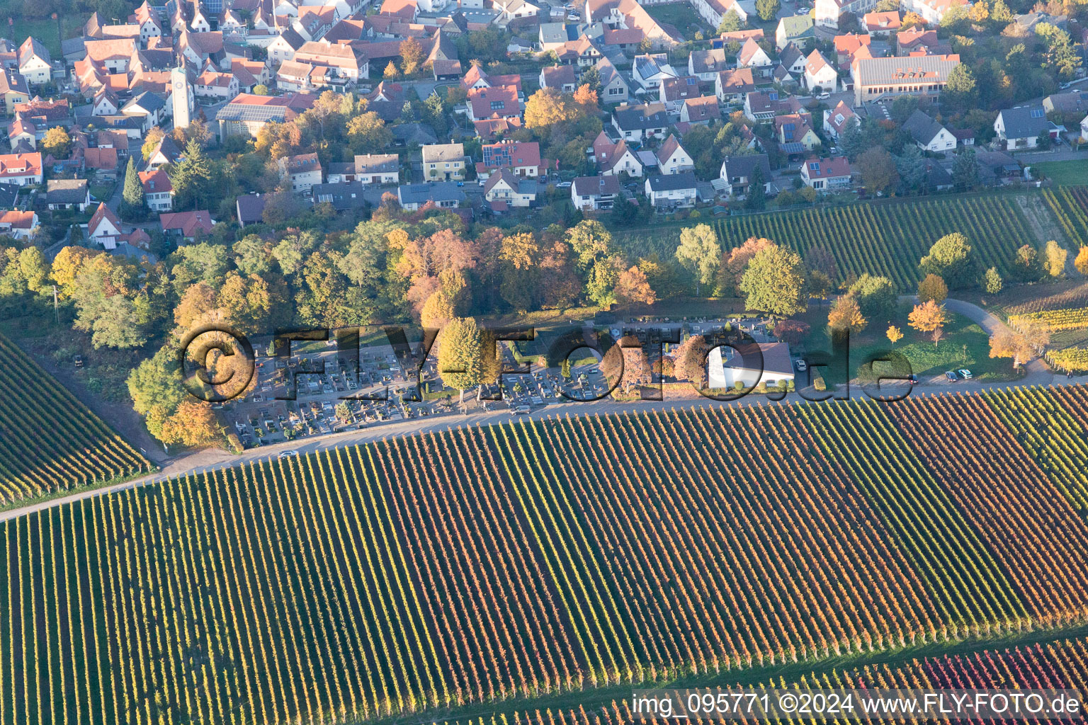 Klingenmünster im Bundesland Rheinland-Pfalz, Deutschland vom Flugzeug aus