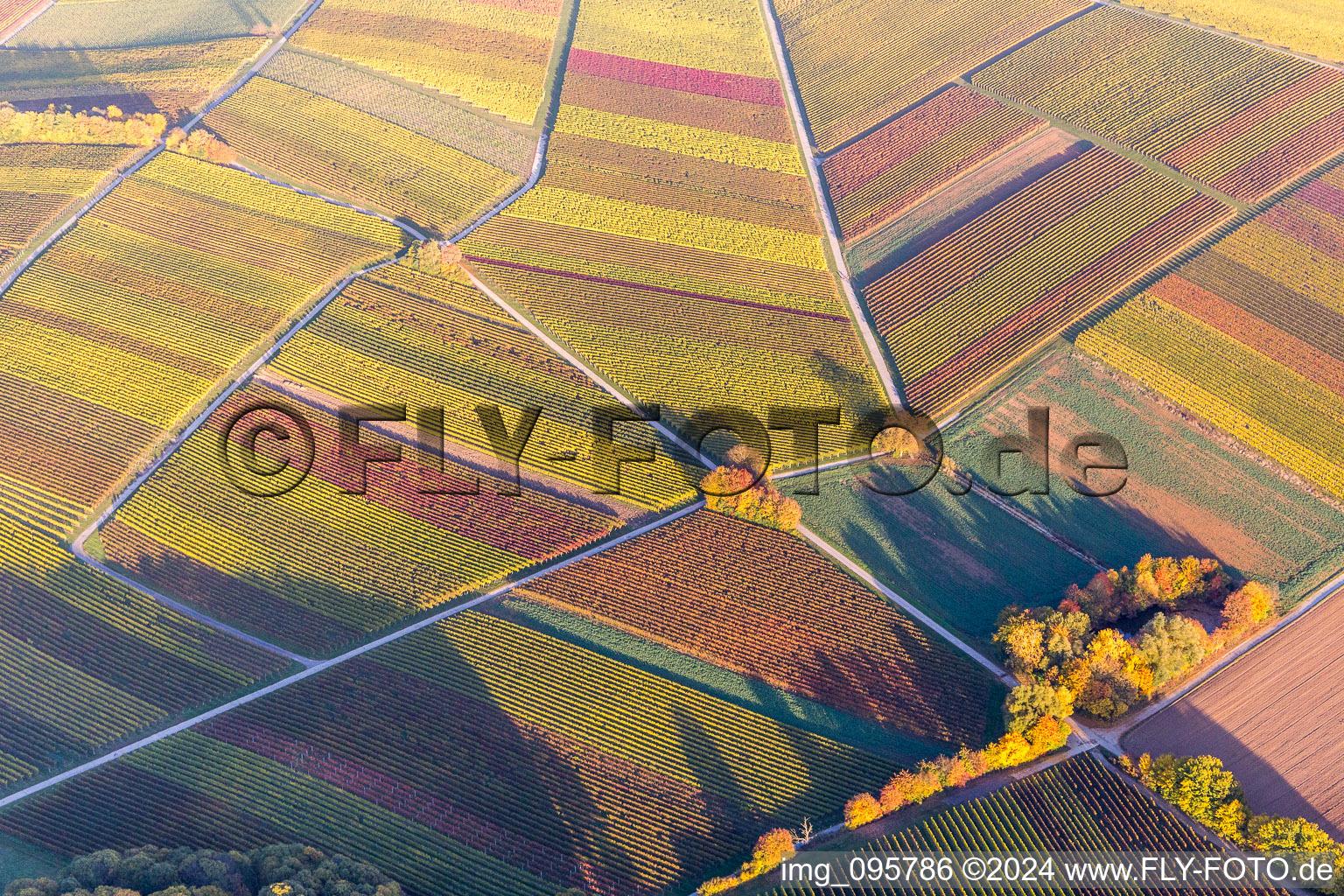 Strukturen der Herbstlich bunt gefärbte Weinbergs- Landschaft der Winzer- Gebiete in Heuchelheim-Klingen im Bundesland Rheinland-Pfalz, Deutschland
