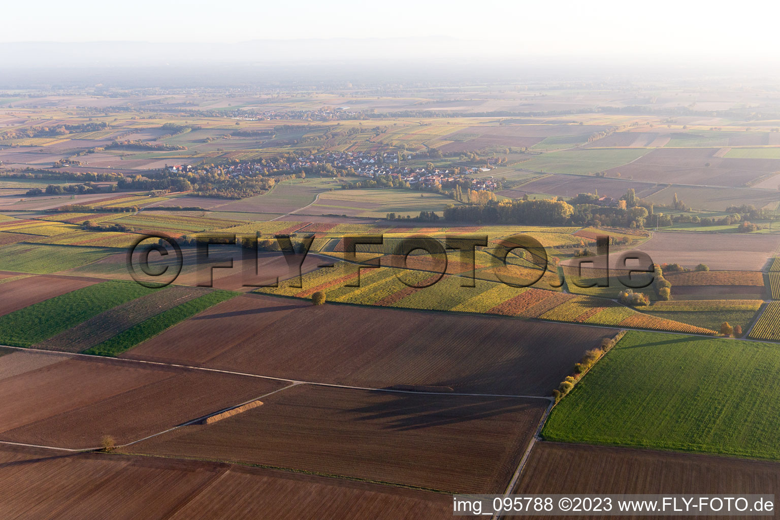 Niederhorbach im Bundesland Rheinland-Pfalz, Deutschland von einer Drohne aus