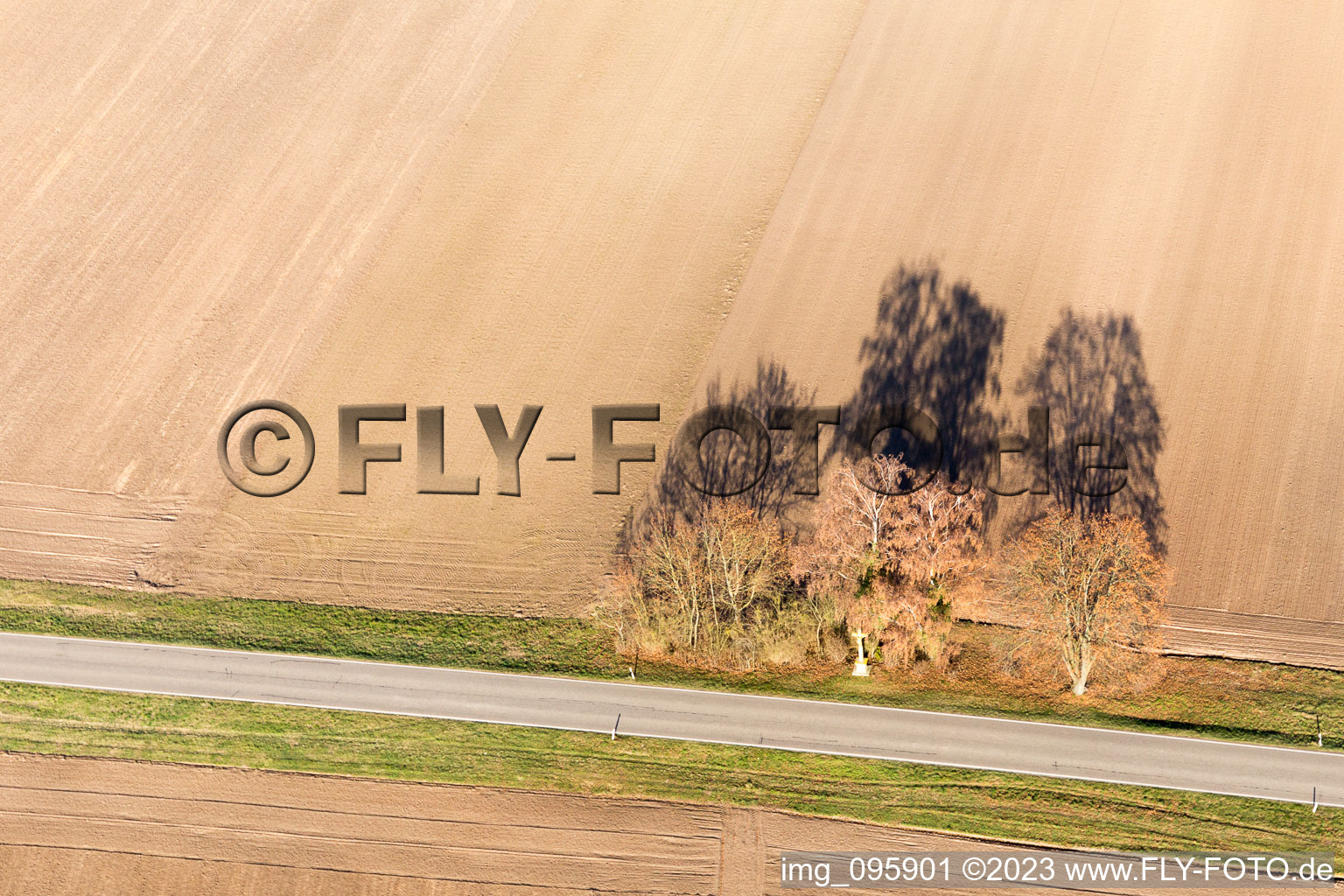 Hatzenbühl im Bundesland Rheinland-Pfalz, Deutschland aus der Drohnenperspektive