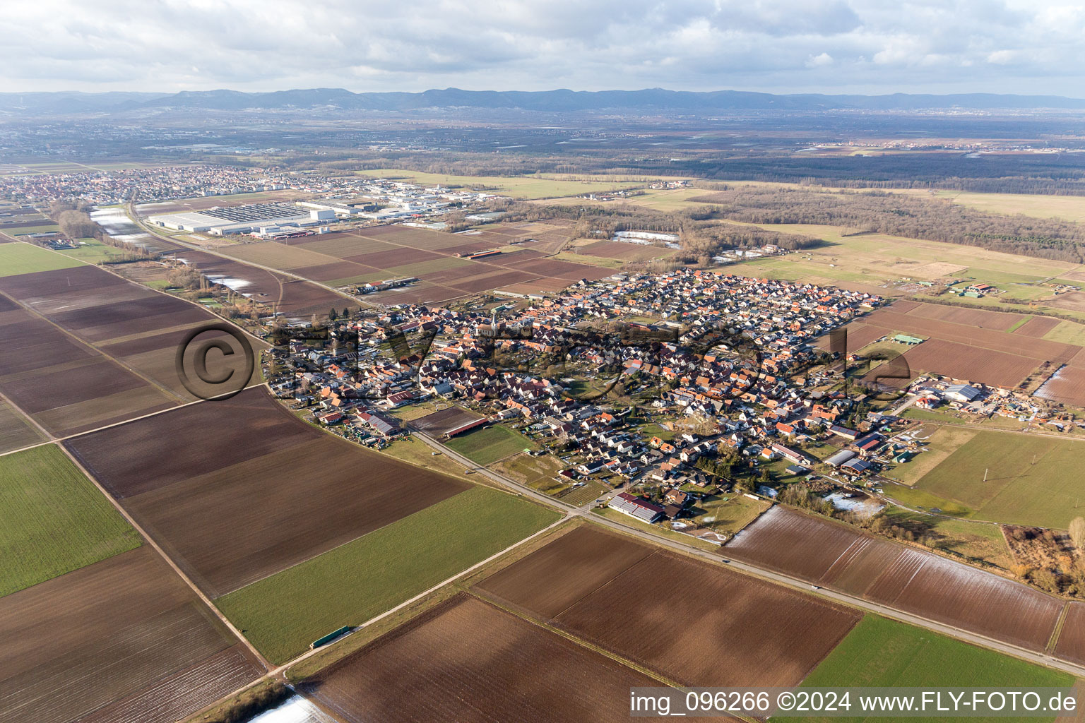 Dorf - Ansicht am Rande von landwirtschaftlichen Feldern und Nutzflächen in Ottersheim bei Landau im Bundesland Rheinland-Pfalz, Deutschland