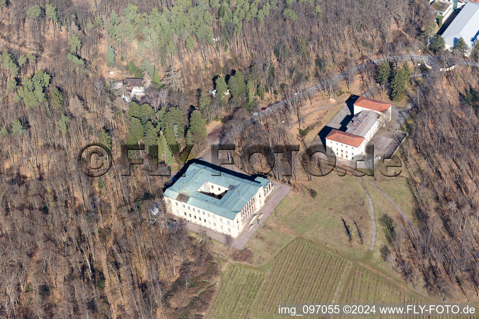 Luftaufnahme von Schloss Villa Ludwigshöhe in Weyher in der Pfalz im Bundesland Rheinland-Pfalz, Deutschland