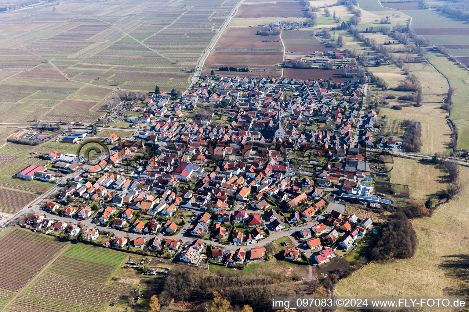 Dorf - Ansicht am Rande von landwirtschaftlichen Feldern und Nutzflächen in Venningen im Bundesland Rheinland-Pfalz, Deutschland von oben gesehen