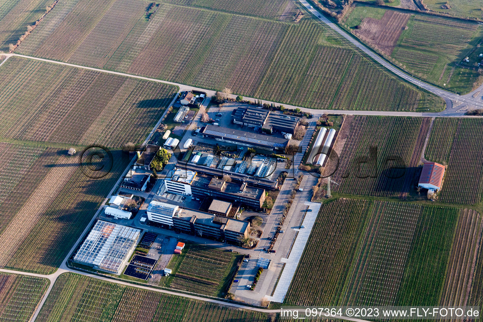 Luftbild von RLP Agroscience im Ortsteil Mußbach in Neustadt an der Weinstraße im Bundesland Rheinland-Pfalz, Deutschland