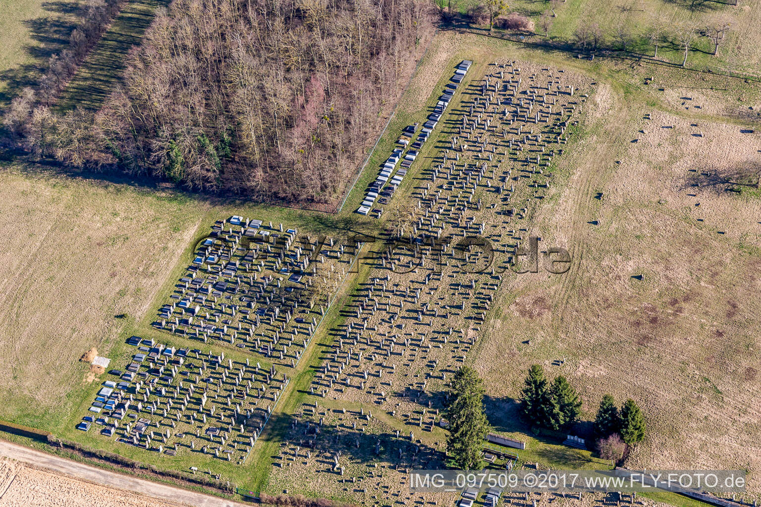 Grabreihen auf dem Gelände des Friedhofes in Ettendorf in Grand Est im Bundesland Bas-Rhin, Frankreich aus der Luft