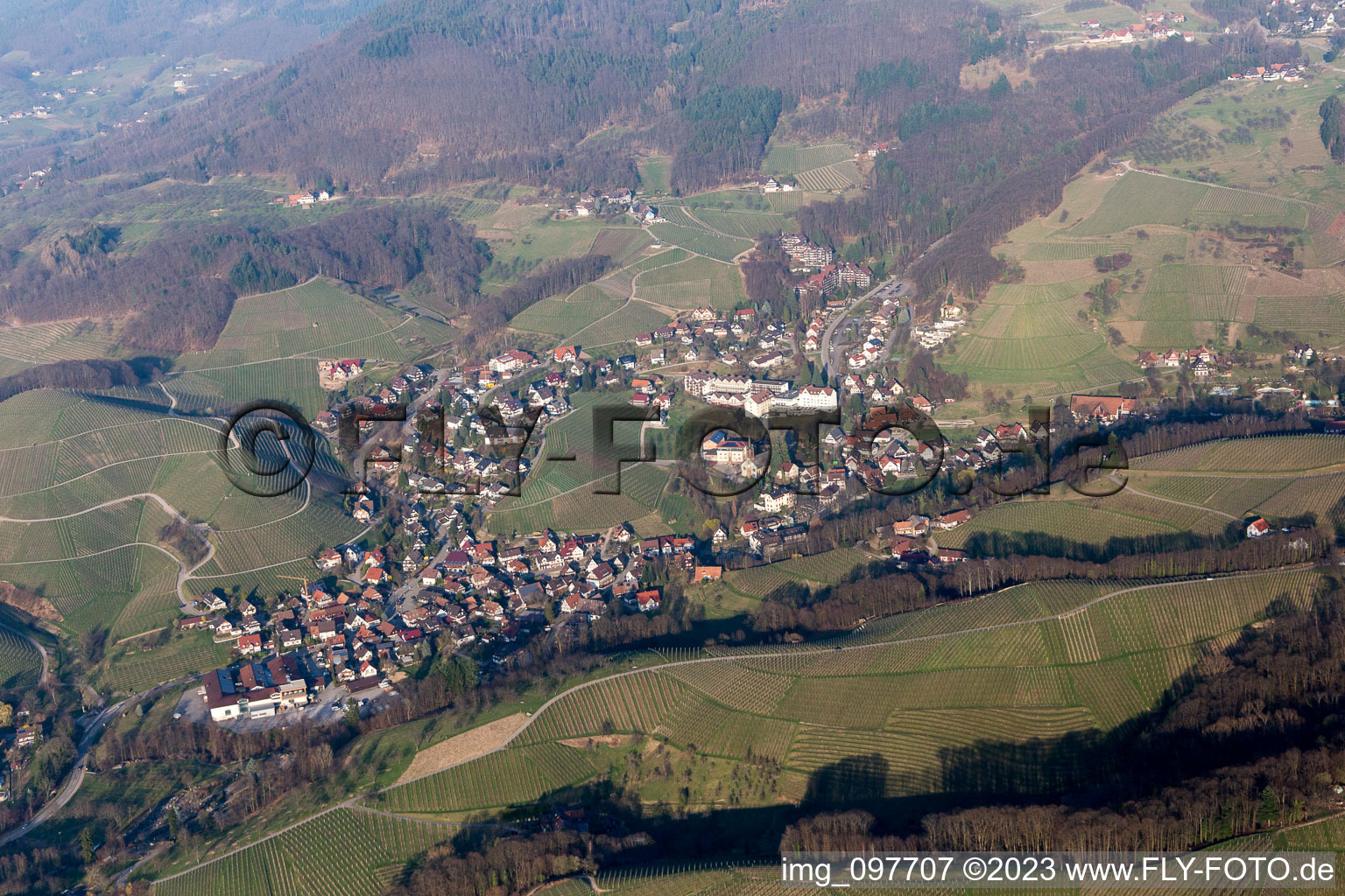 Illenau im Bundesland Baden-Württemberg, Deutschland aus der Luft
