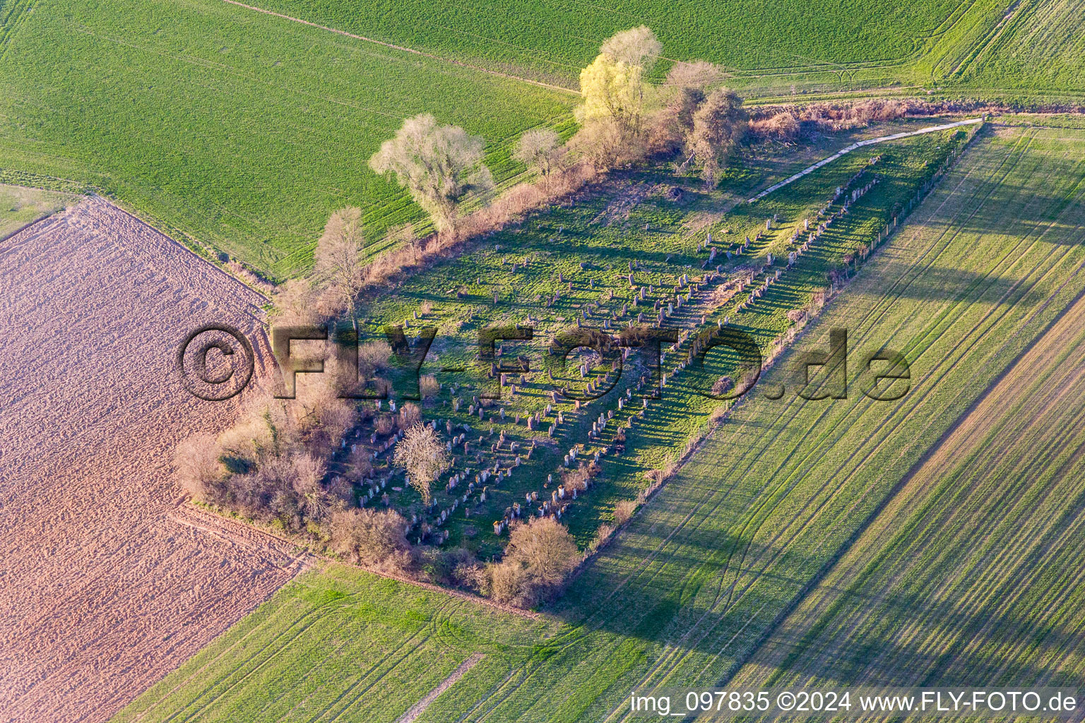 Luftaufnahme von Grabreihen auf dem Gelände des alten jüdischen Friedhofes in Trimbach in Grand Est im Bundesland Bas-Rhin, Frankreich