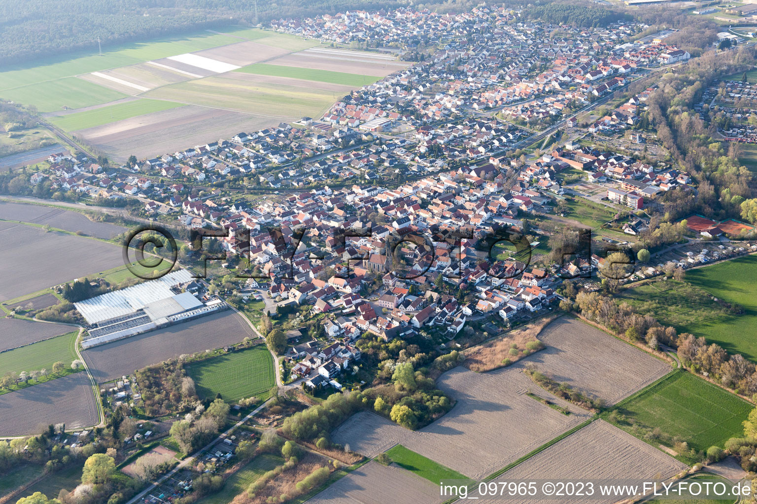 Ortsteil Sondernheim in Germersheim im Bundesland Rheinland-Pfalz, Deutschland von oben gesehen