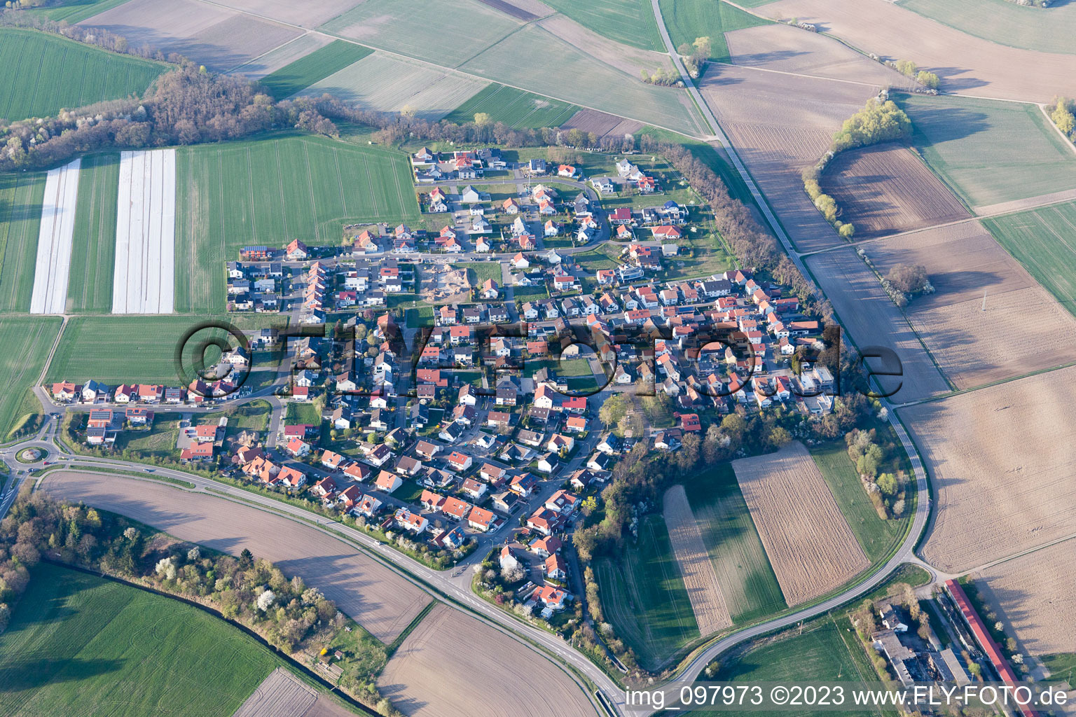 Luftaufnahme von Neupotz, Hardtwald im Bundesland Rheinland-Pfalz, Deutschland