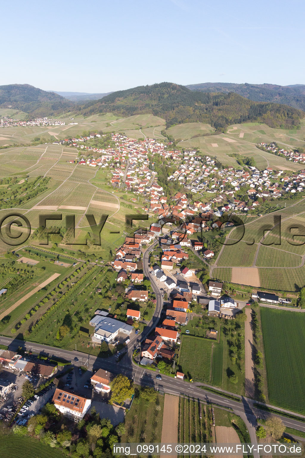 Ortsteil Eisental in Bühl im Bundesland Baden-Württemberg, Deutschland von oben