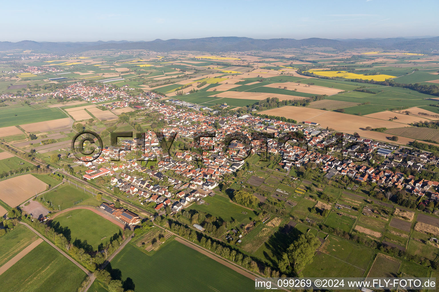 Dorf - Ansicht am Rande von landwirtschaftlichen Feldern und Nutzflächen in Steinfeld im Bundesland Rheinland-Pfalz, Deutschland