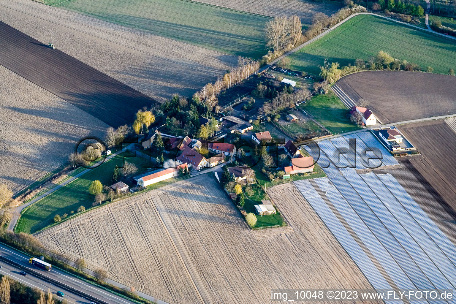 Otterstadt im Bundesland Rheinland-Pfalz, Deutschland aus der Luft