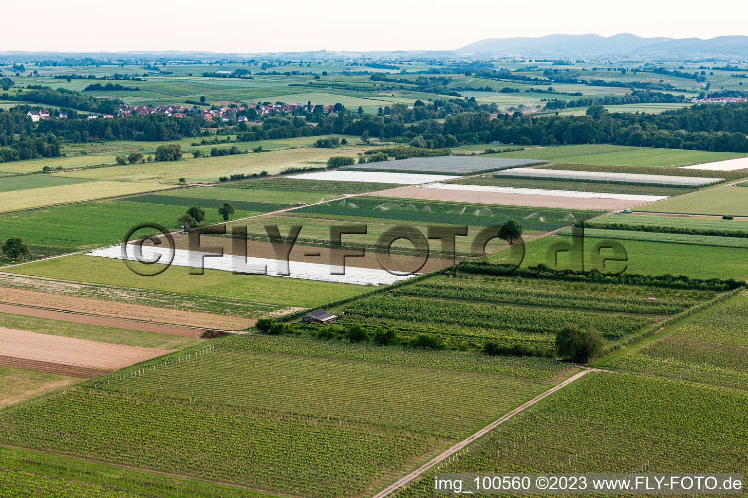 Luftbild von Winden, Eier-Meier's Obstplantage im Bundesland Rheinland-Pfalz, Deutschland