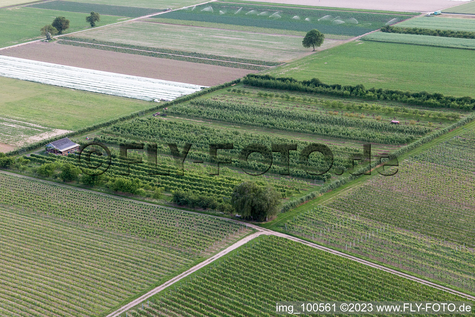 Luftaufnahme von Winden, Eier-Meier's Obstplantage im Bundesland Rheinland-Pfalz, Deutschland