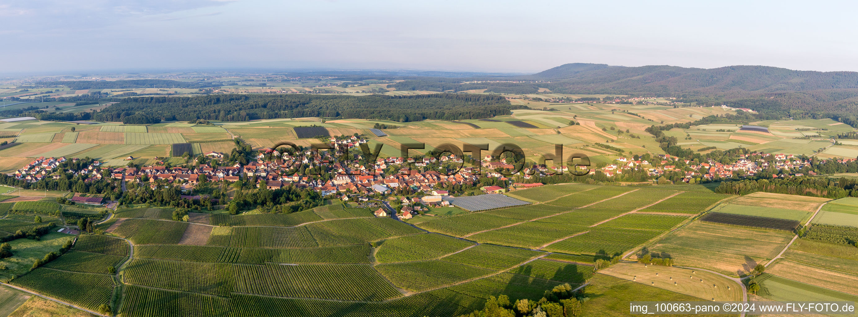 Panorama Perspektive Dorf - Ansicht am Rande von landwirtschaftlichen Feldern und Nutzflächen in Steinseltz in Grand Est im Bundesland Bas-Rhin, Frankreich