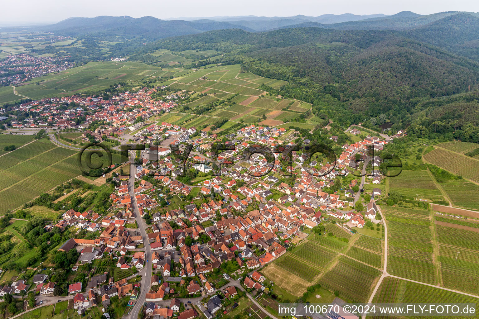 Luftbild von Dorf - Ansicht am Rande von Weinbergen und Wald in Rechtenbach in Schweigen-Rechtenbach im Bundesland Rheinland-Pfalz, Deutschland