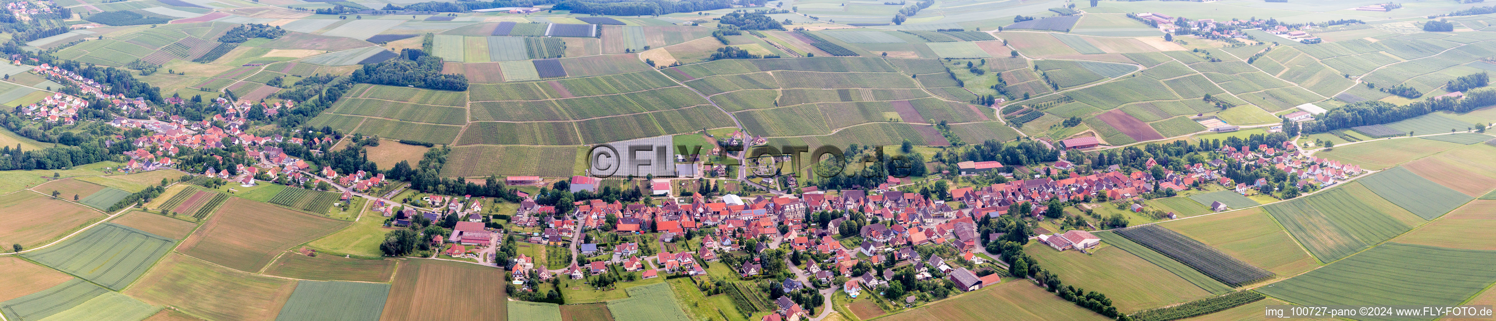 Luftbild von Panorama Perspektive Dorf - Ansicht am Rande von landwirtschaftlichen Feldern und Nutzflächen in Steinseltz in Grand Est im Bundesland Bas-Rhin, Frankreich