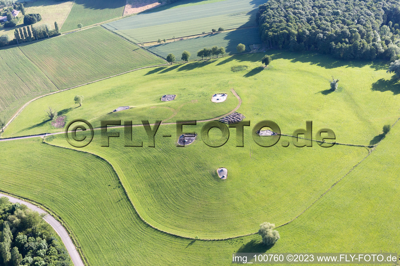 Ingolsheim im Bundesland Bas-Rhin, Frankreich aus der Luft