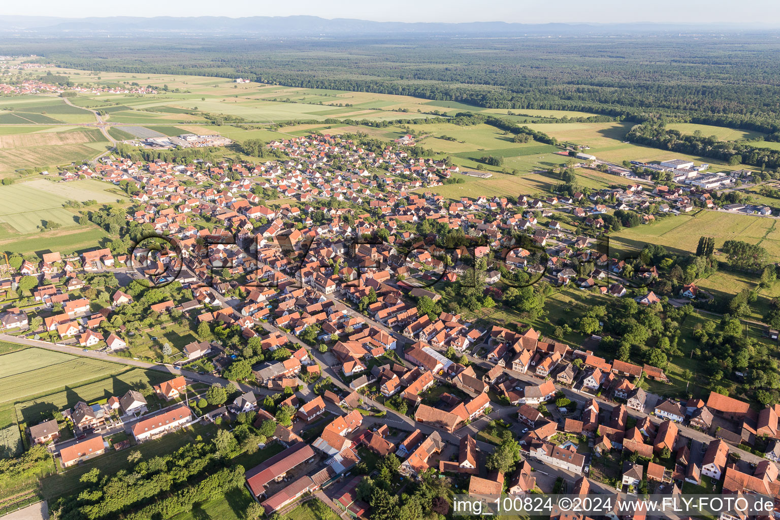 Luftbild von Dorf - Ansicht am Rande von landwirtschaftlichen Feldern und Nutzflächen in Surbourg in Grand Est im Bundesland Bas-Rhin, Frankreich