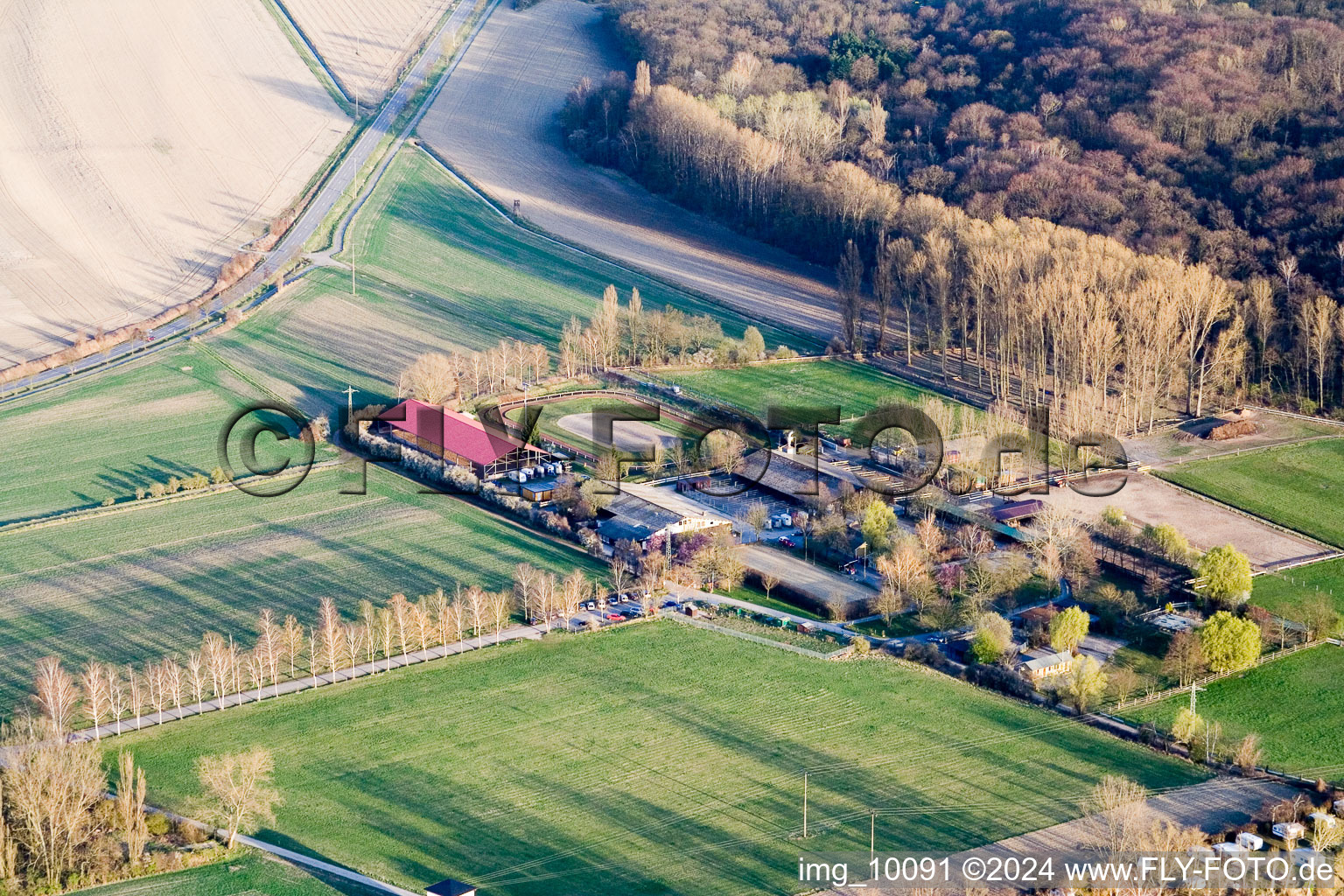 Luftbild von Altrip im Bundesland Rheinland-Pfalz, Deutschland