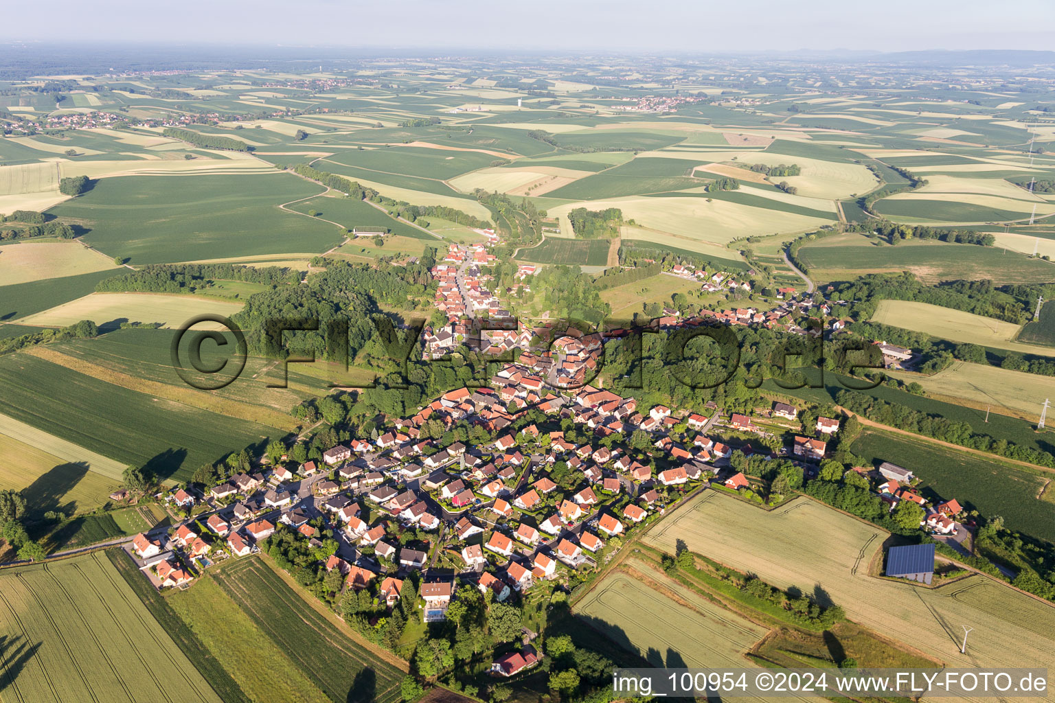 Dorf - Ansicht am Rande von landwirtschaftlichen Feldern und Nutzflächen in Néewiller-prés-Lauterbourg in Grand Est in Neewiller-près-Lauterbourg im Bundesland Bas-Rhin, Frankreich