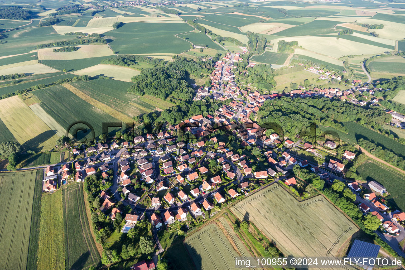 Luftbild von Dorf - Ansicht am Rande von landwirtschaftlichen Feldern und Nutzflächen in Néewiller-prés-Lauterbourg in Grand Est in Neewiller-près-Lauterbourg im Bundesland Bas-Rhin, Frankreich