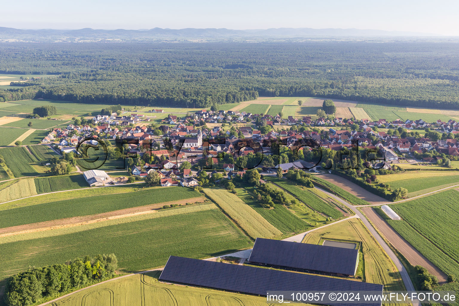 Panelreihen der Photovoltaikanlage auf dem Dach von landwirtschalftlichen Scheunen in Niederlauterbach in Grand Est im Bundesland Bas-Rhin, Frankreich