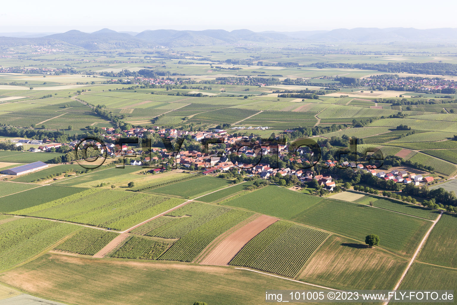 Vollmersweiler im Bundesland Rheinland-Pfalz, Deutschland vom Flugzeug aus