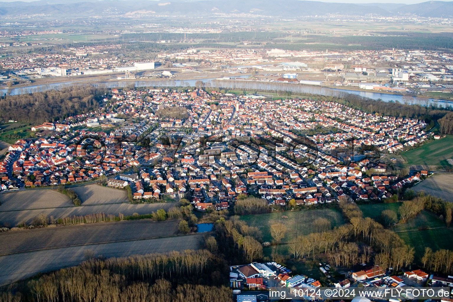 Luftbild von Ortsansicht der Straßen und Häuser der Wohngebiete in Altrip im Bundesland Rheinland-Pfalz, Deutschland