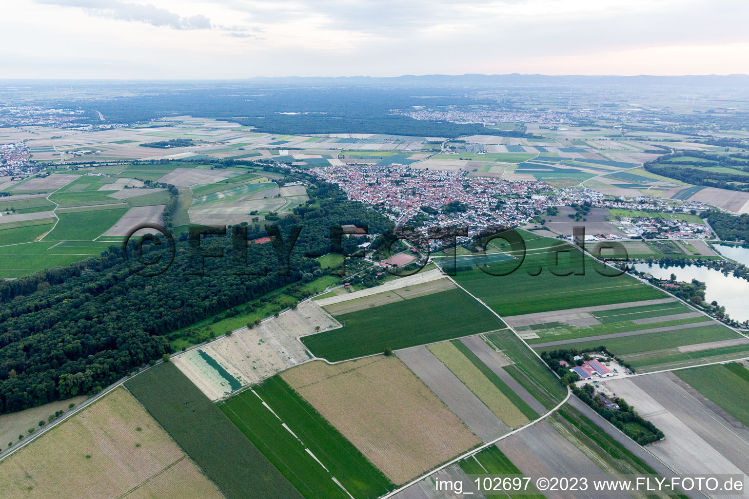 Waldsee im Bundesland Rheinland-Pfalz, Deutschland aus der Drohnenperspektive