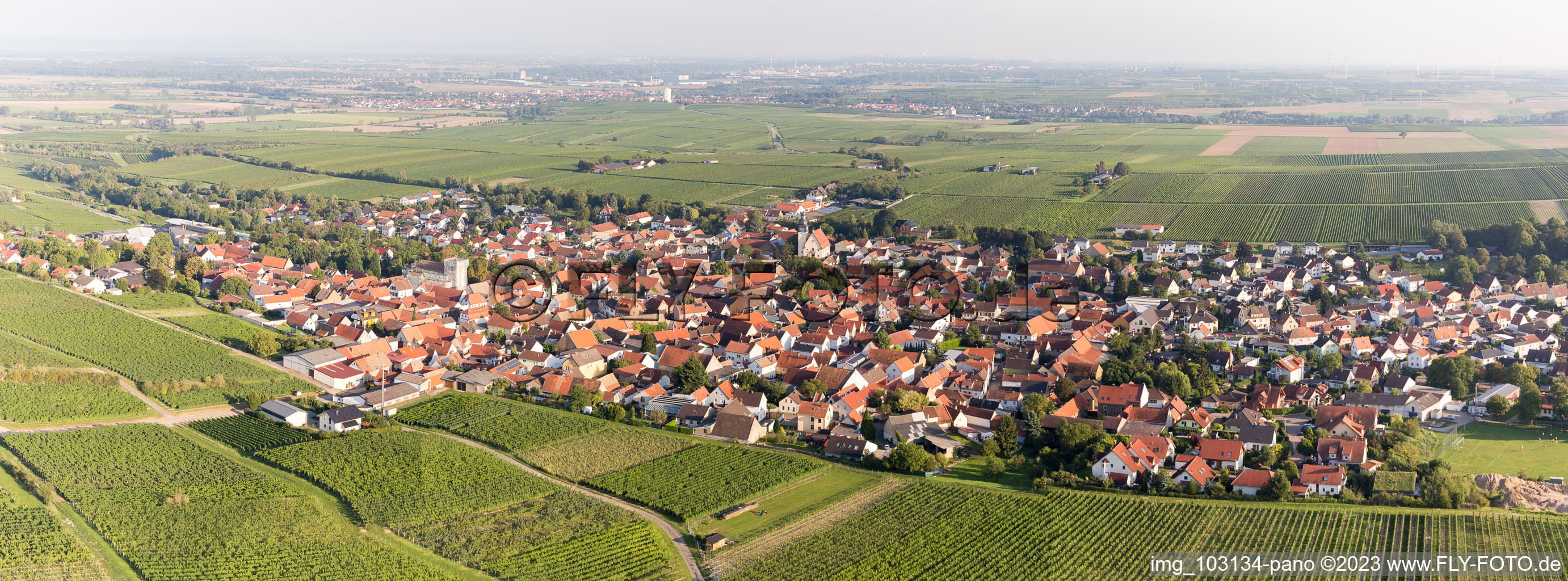 Schrägluftbild von Bechtheim im Bundesland Rheinland-Pfalz, Deutschland