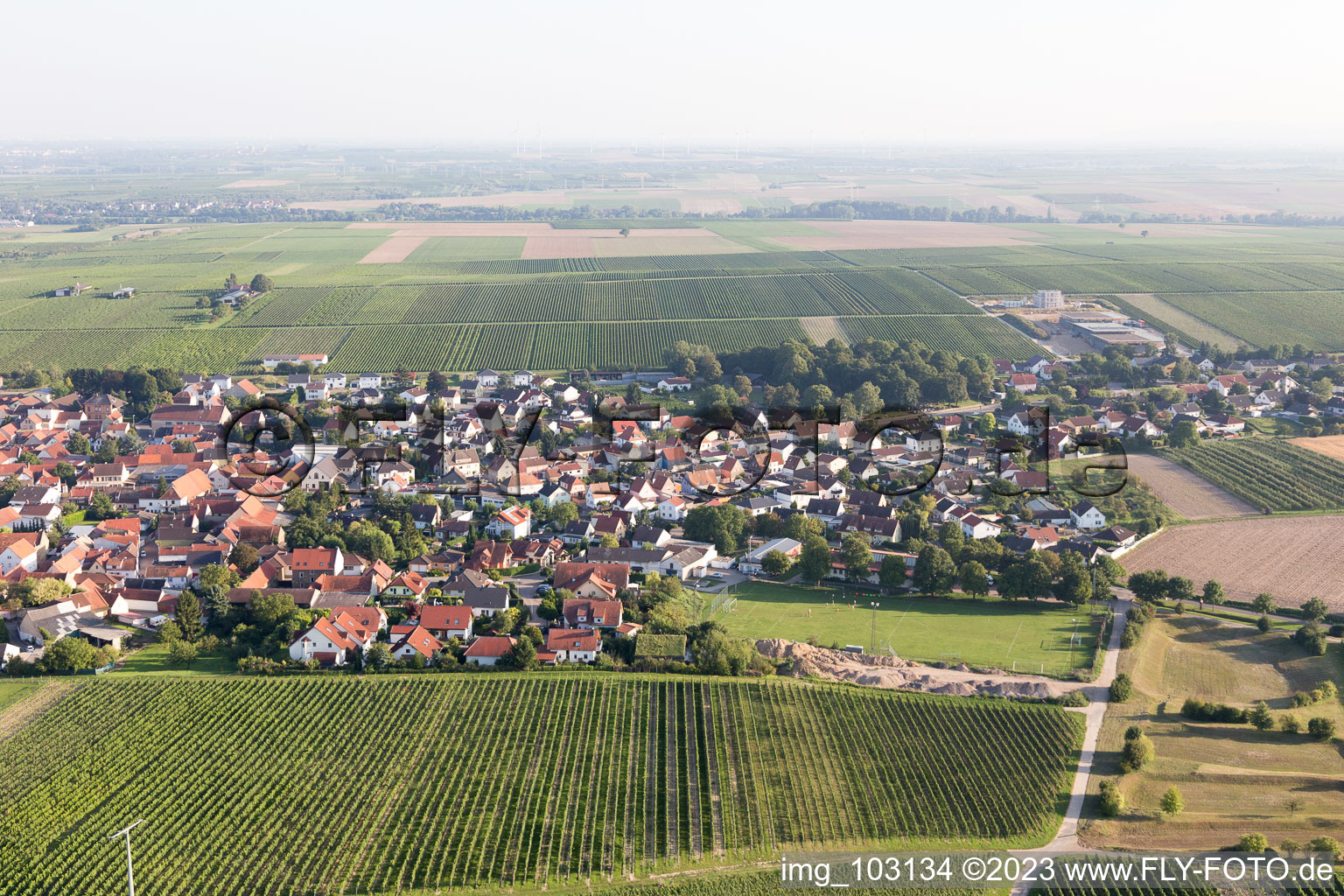Bechtheim im Bundesland Rheinland-Pfalz, Deutschland von oben