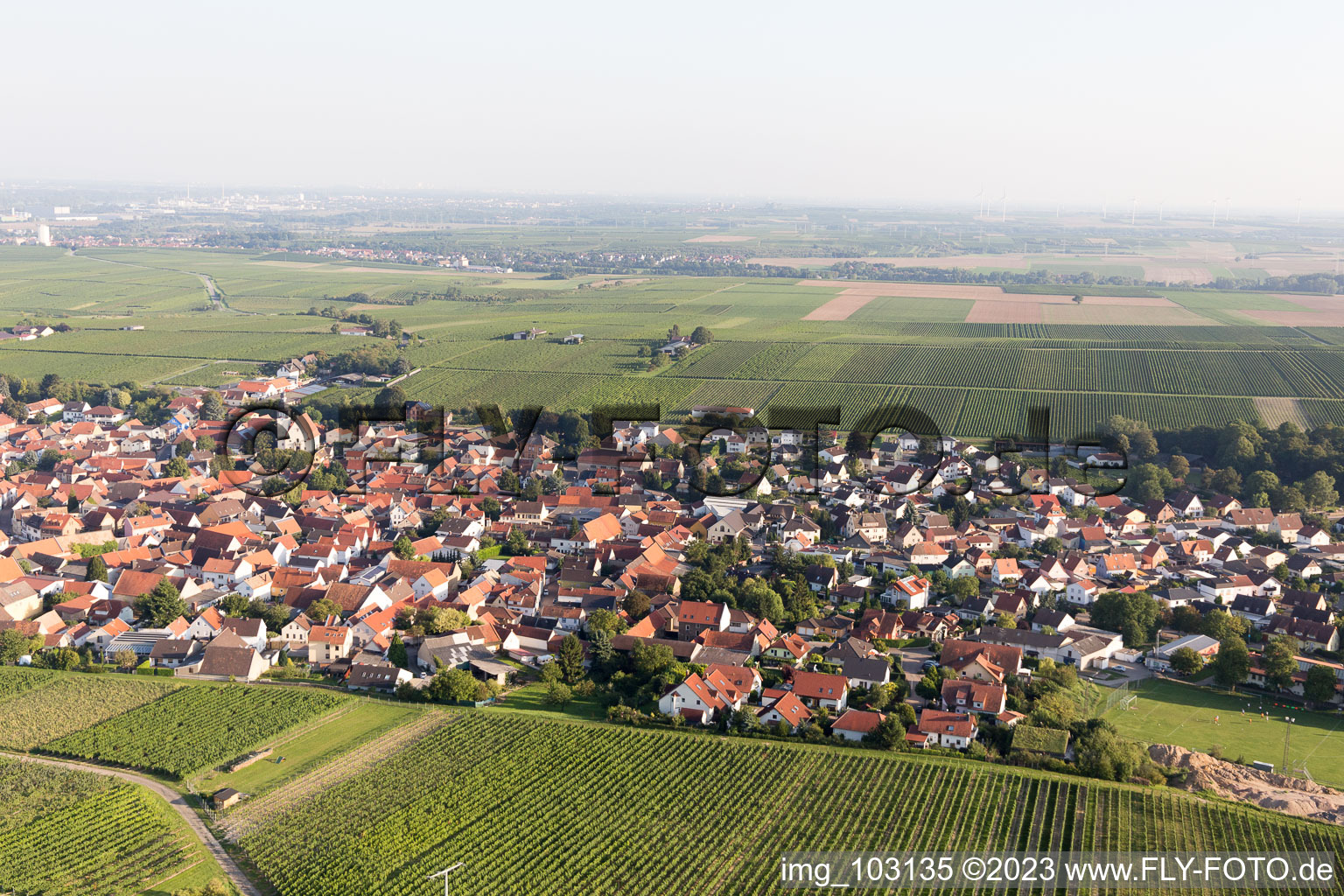 Bechtheim im Bundesland Rheinland-Pfalz, Deutschland aus der Luft