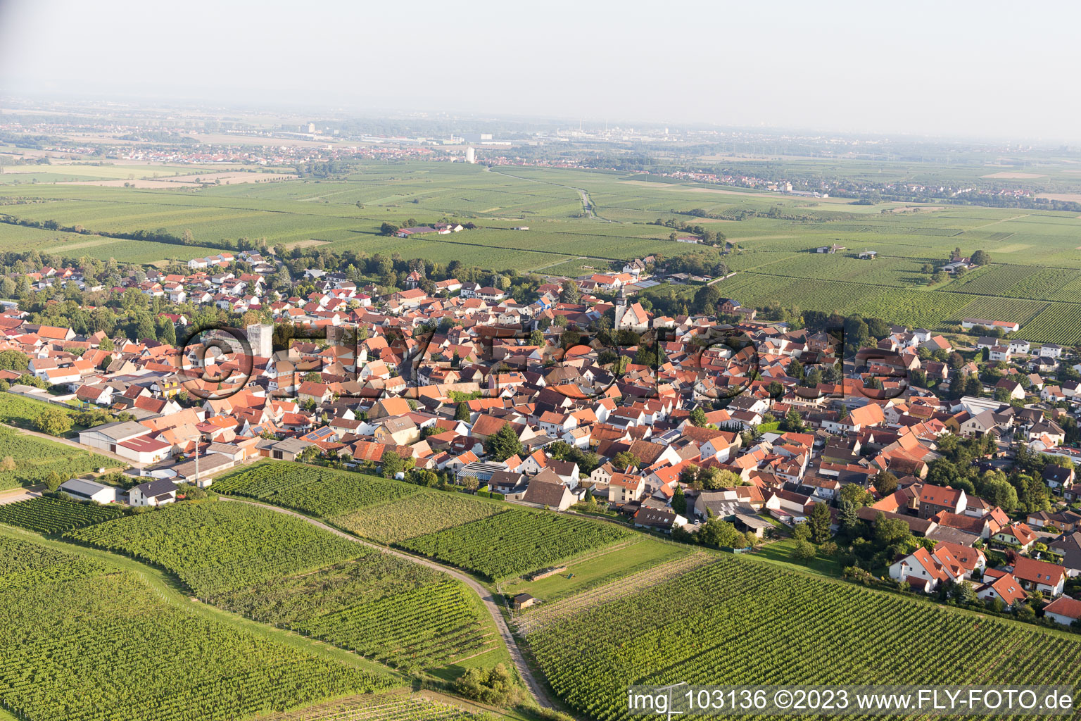 Bechtheim im Bundesland Rheinland-Pfalz, Deutschland von oben gesehen