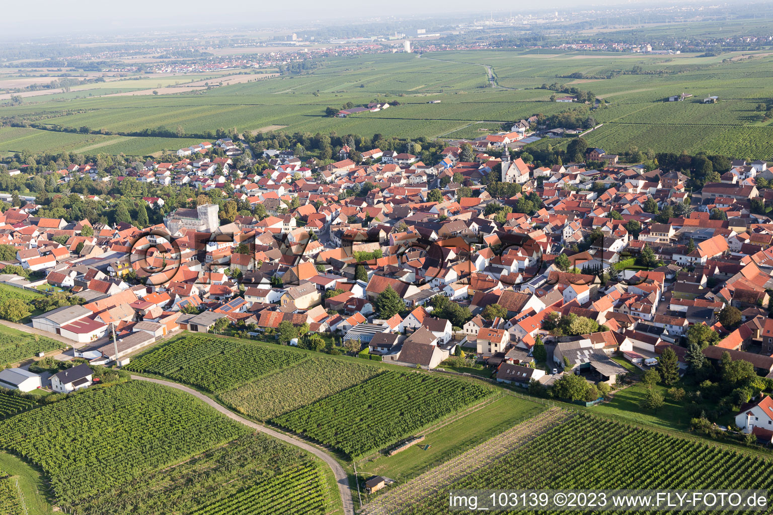 Bechtheim im Bundesland Rheinland-Pfalz, Deutschland aus der Luft betrachtet